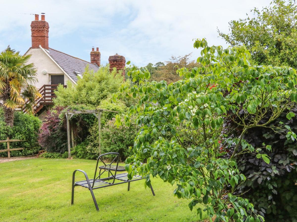 Apartament Fig Trees - Wibble Farm Williton Zewnętrze zdjęcie