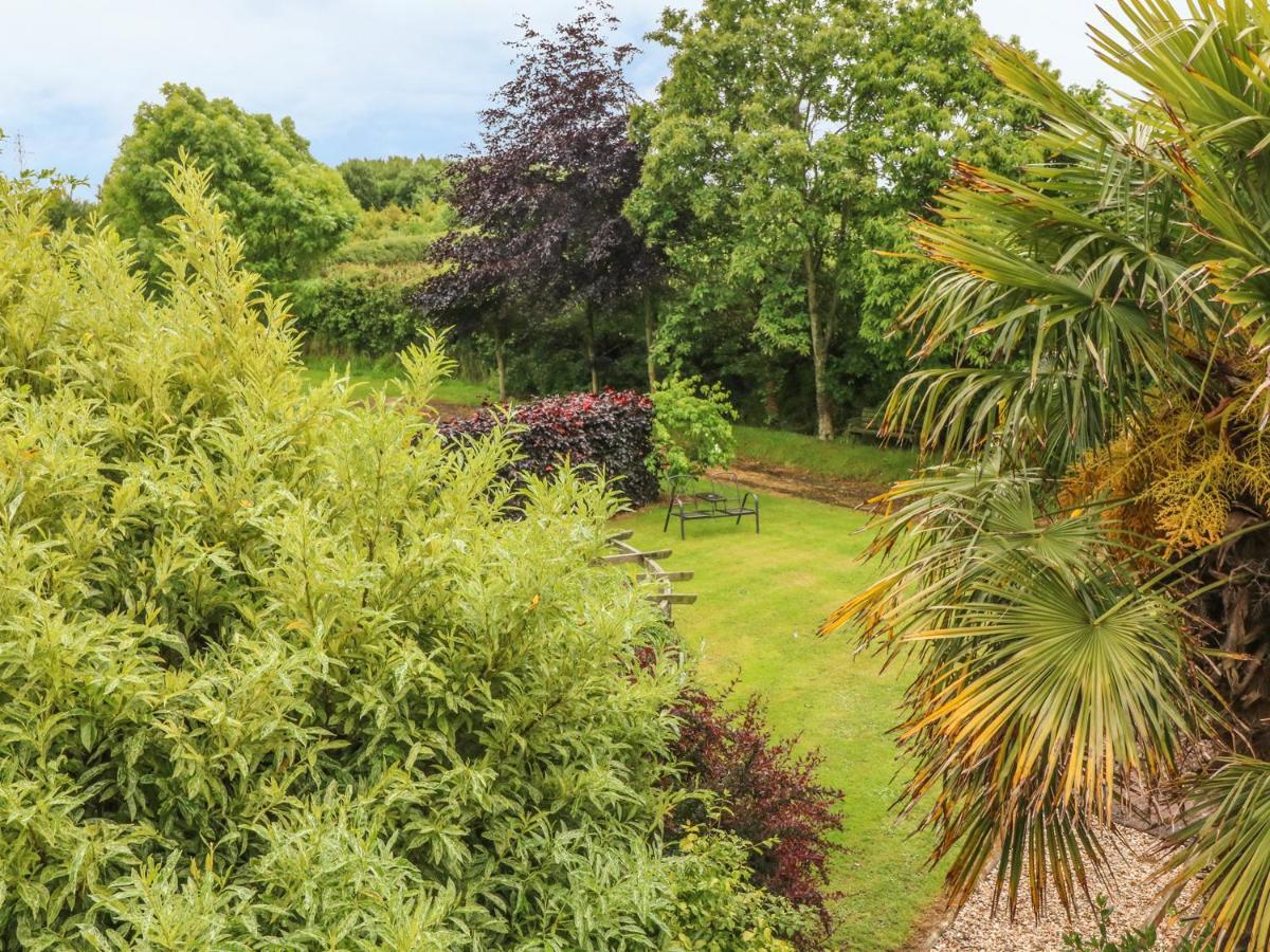 Apartament Fig Trees - Wibble Farm Williton Zewnętrze zdjęcie